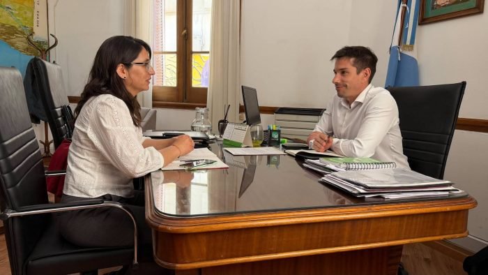 gestiones-e1793235483651